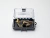 TechRentals_VT600_IFB_02.jpg