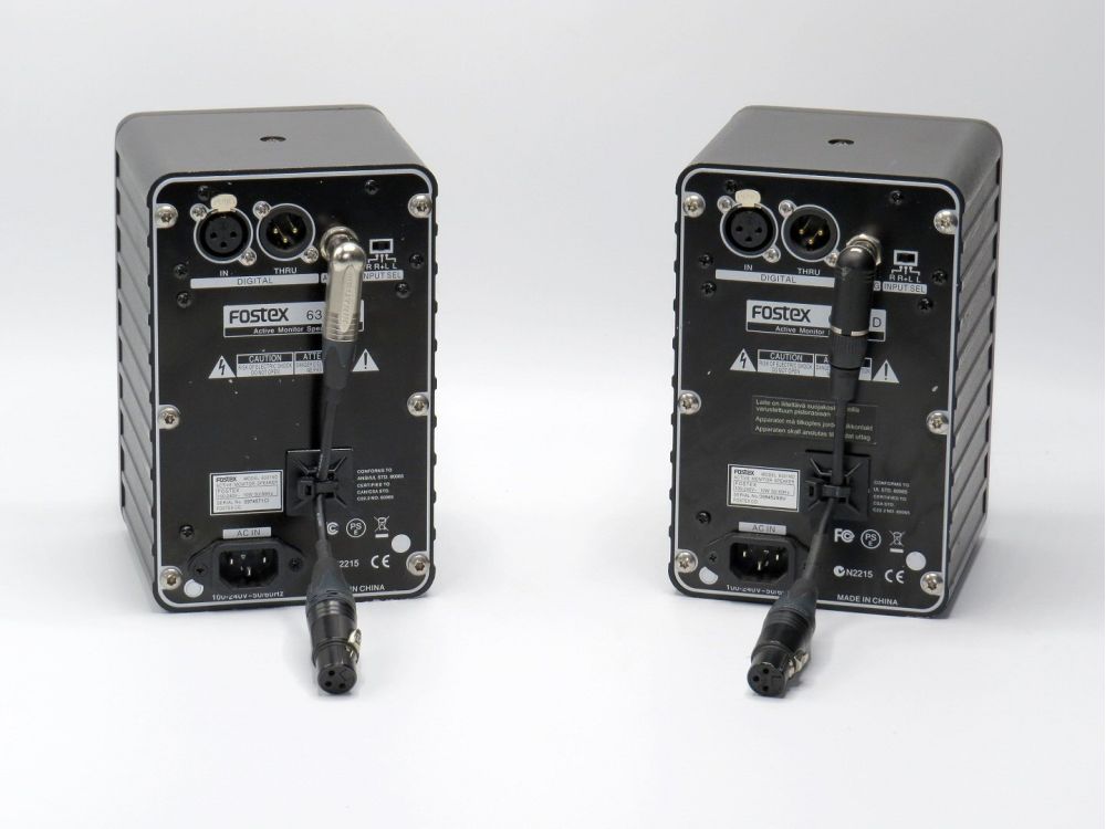 TechRentals_Fostex_6301_Powered_Speakers_03.jpg